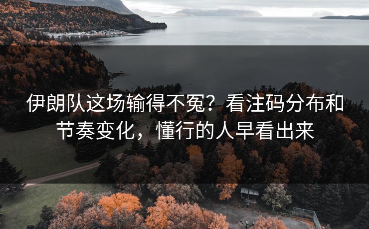 伊朗队这场输得不冤？看注码分布和节奏变化，懂行的人早看出来