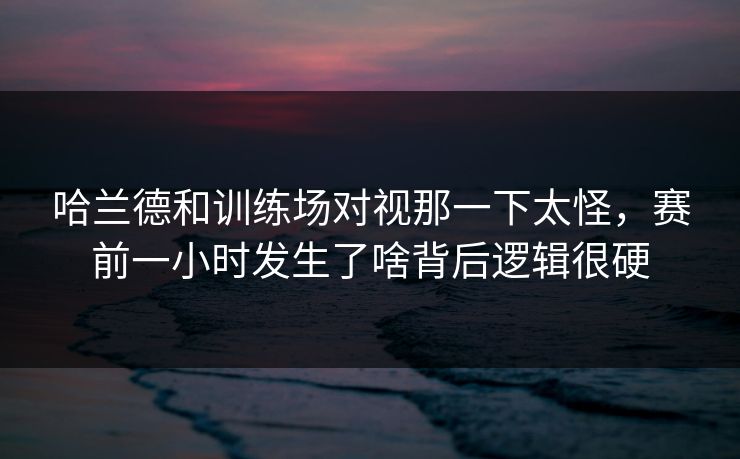 哈兰德和训练场对视那一下太怪，赛前一小时发生了啥背后逻辑很硬