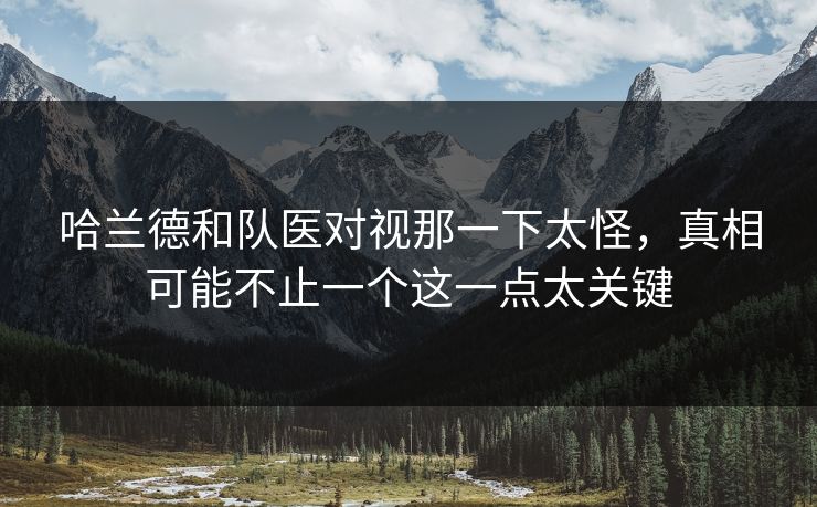 哈兰德和队医对视那一下太怪，真相可能不止一个这一点太关键