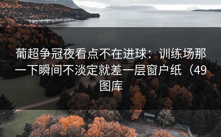 葡超争冠夜看点不在进球：训练场那一下瞬间不淡定就差一层窗户纸（49图库