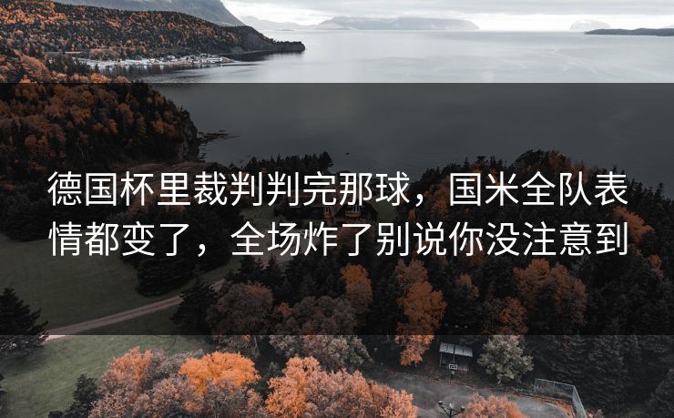 德国杯里裁判判完那球，国米全队表情都变了，全场炸了别说你没注意到