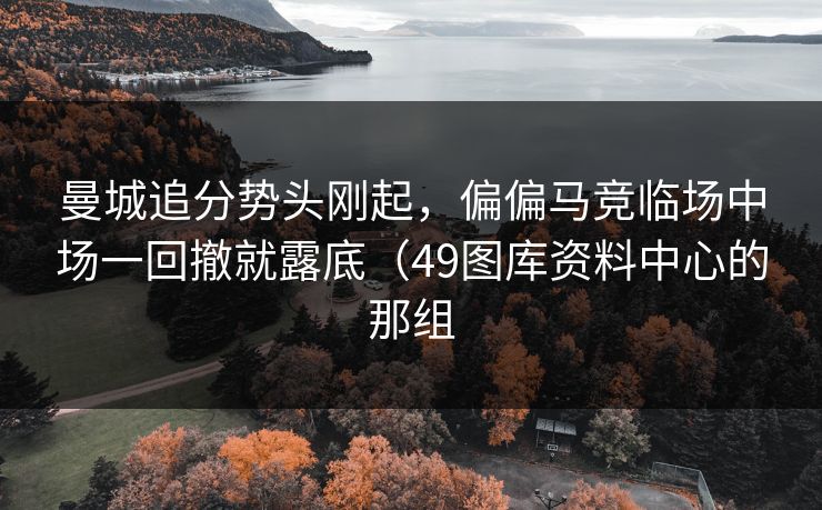 曼城追分势头刚起,偏偏马竞临场中场一回撤就露底(49图库资料中心的那组 曼城追分势头刚起,偏偏马竞临场中场一回撤就露底(49图库资料中心的那组