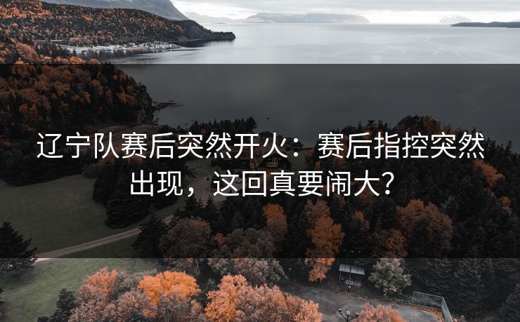 辽宁队赛后突然开火:赛后指控突然出现,这回真要闹大? 辽宁队赛后突然开火:赛后指控突然出现,这回真要闹大?